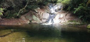 Read more about the article Magoebaskloof Hiking Trail – A Forest Adventure in the Heart of Limpopo