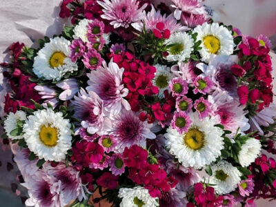 Die Blomskuur