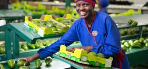 Read more about the article Entrepreneurship in Tzaneen
