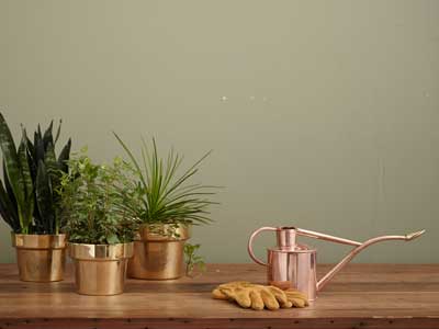 Home and garden