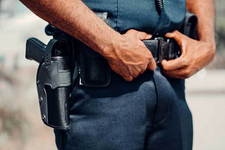 Hoshani Security Services