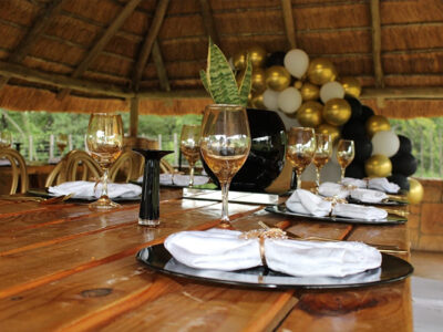 Shidila Decor Delight