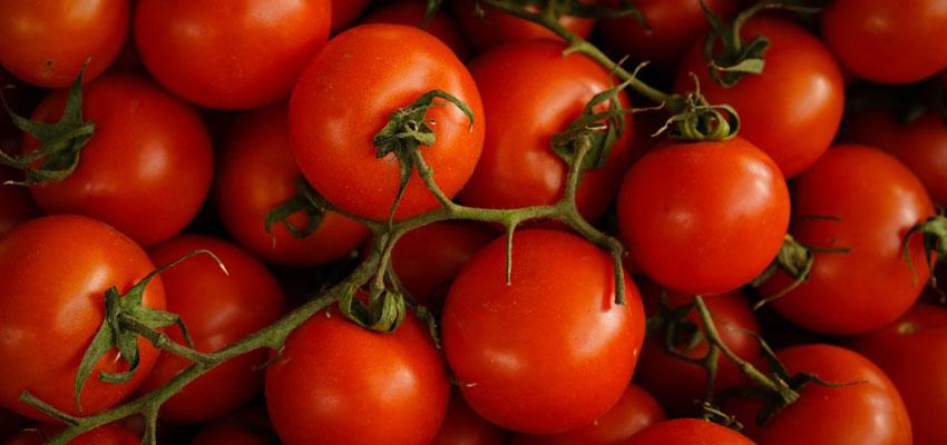 You are currently viewing Tzaneen – Agricultural hub of South Africa