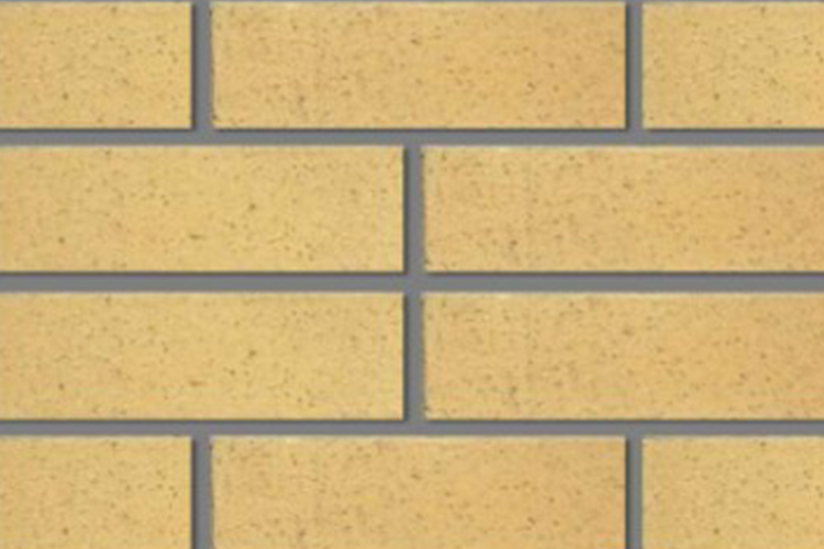 Tzaleba Clay Bricks