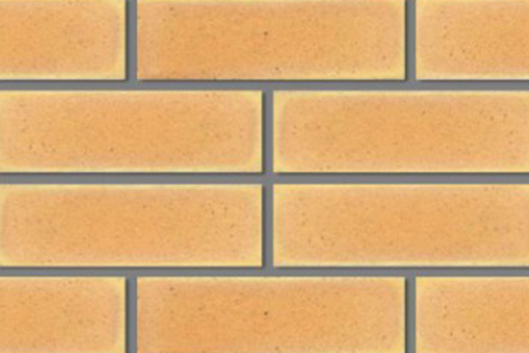 Tzaleba Clay Bricks