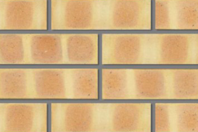 Tzaleba Clay Bricks