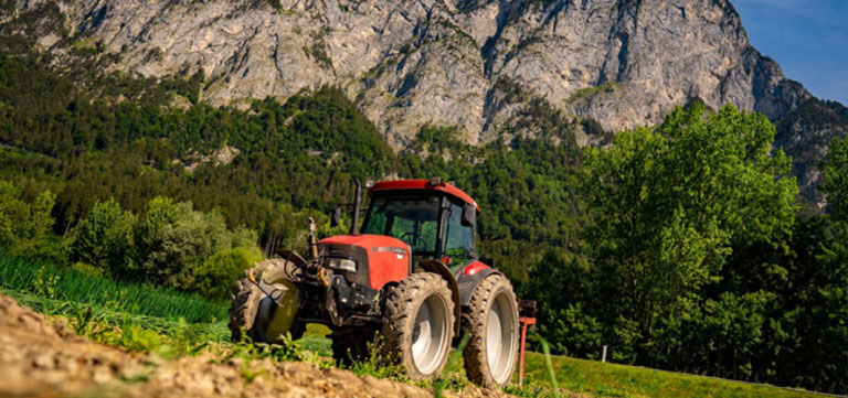 You are currently viewing Agriculture in the Tzaneen area