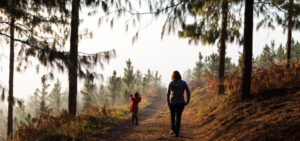 Read more about the article Beautiful Magoebaskloof
